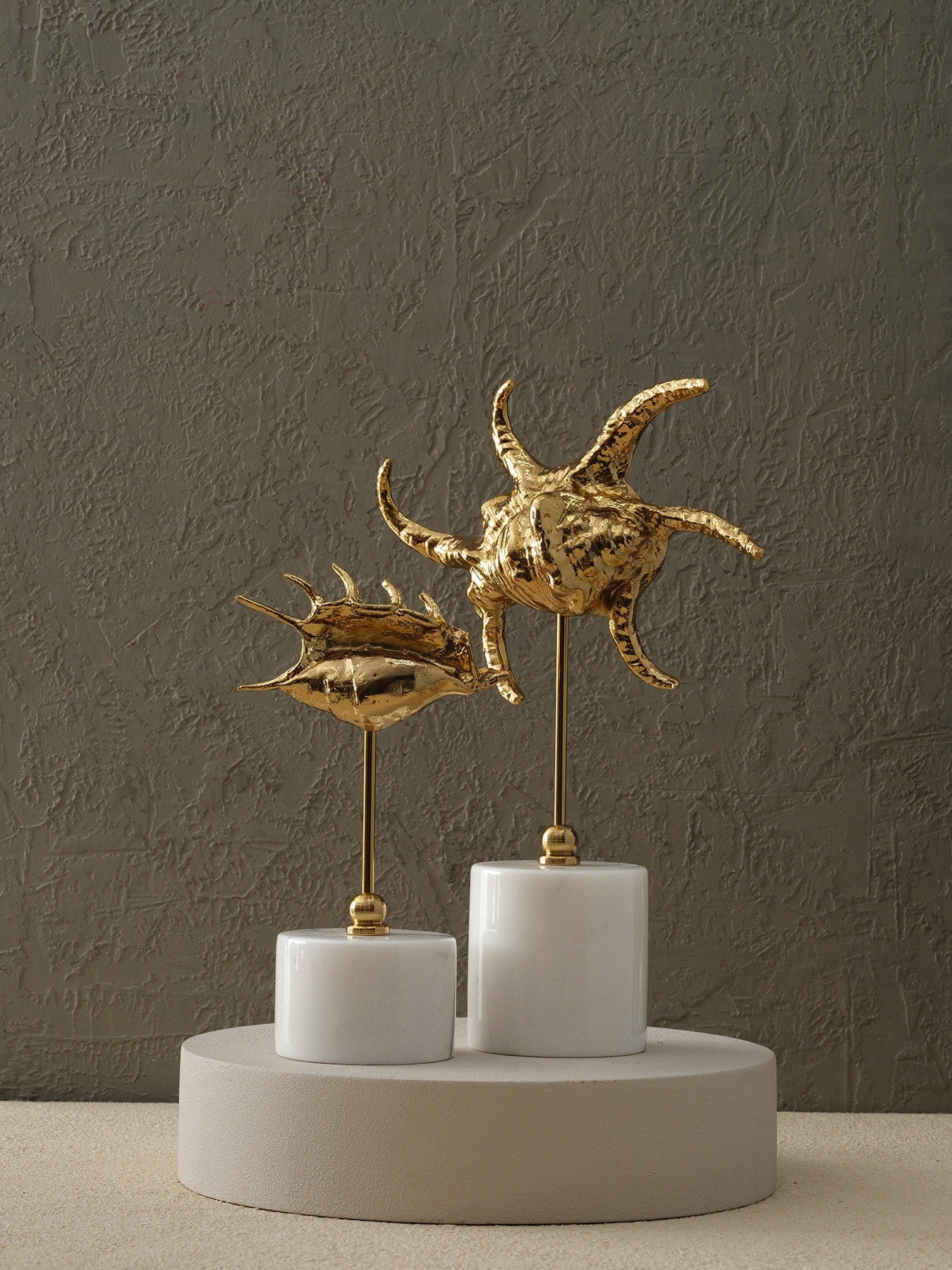 Pirinç Salyangoz - Orta Boy