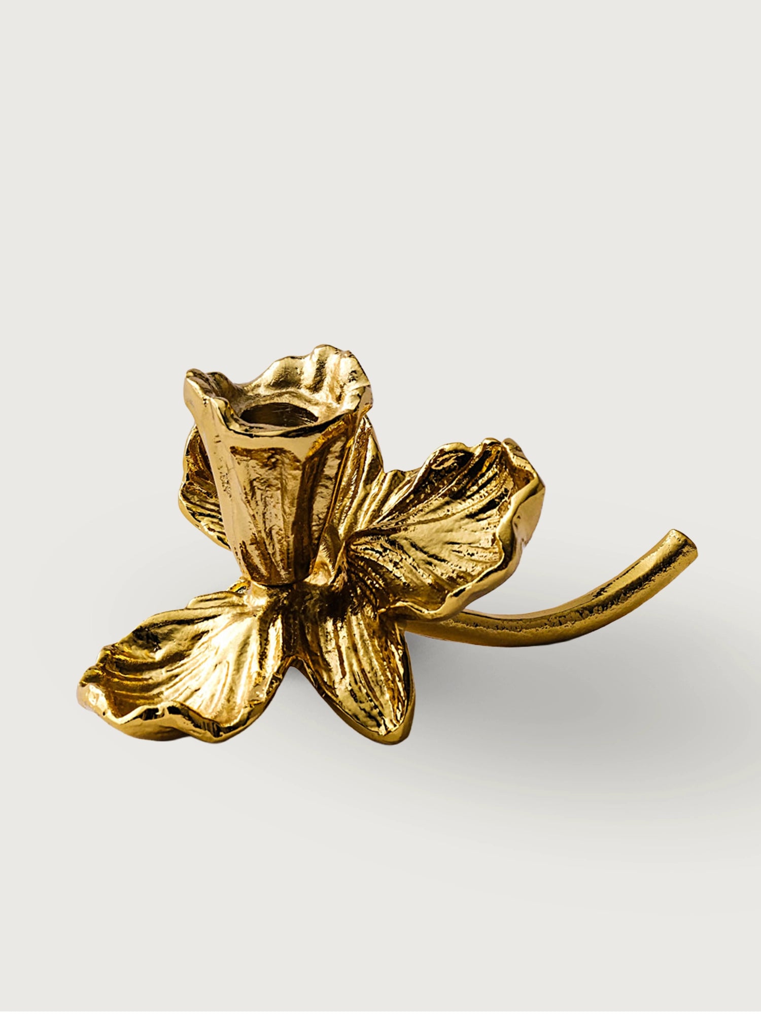 Pirinç Manolya Mumluk