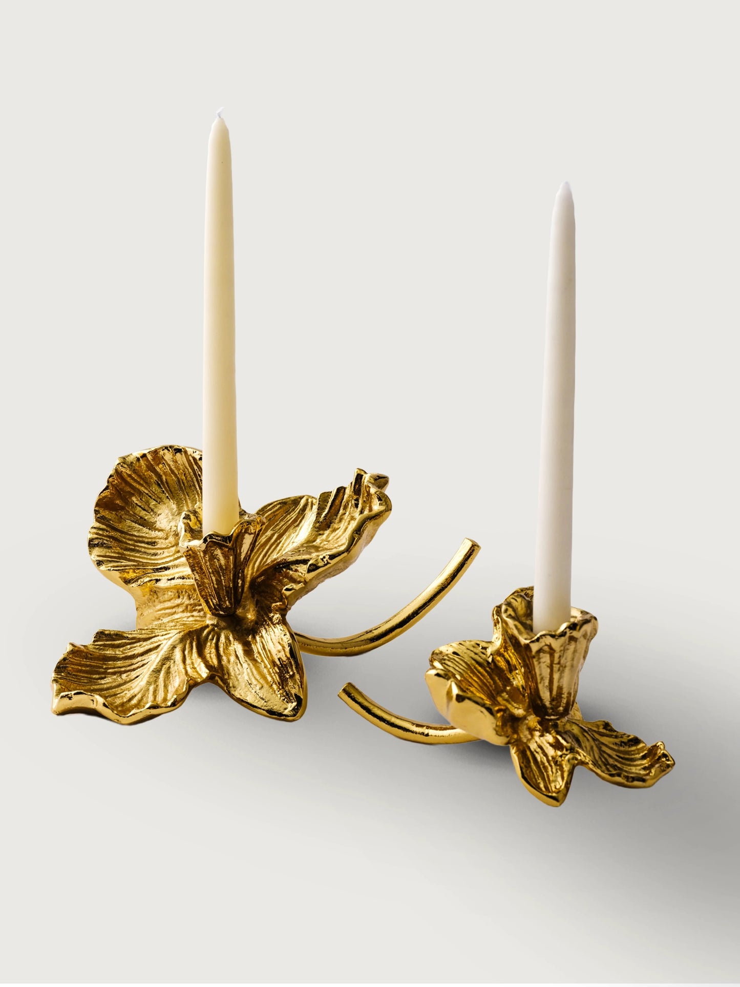 Pirinç Manolya Mumluk