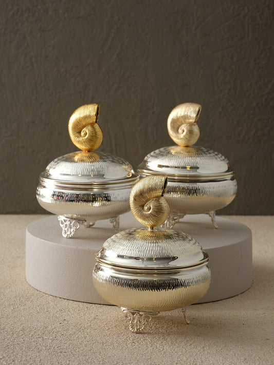 Nautiluslu Gümüş Kutu - Büyük Boy