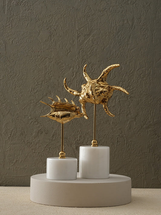 Pirinç Salyangoz - Orta Boy