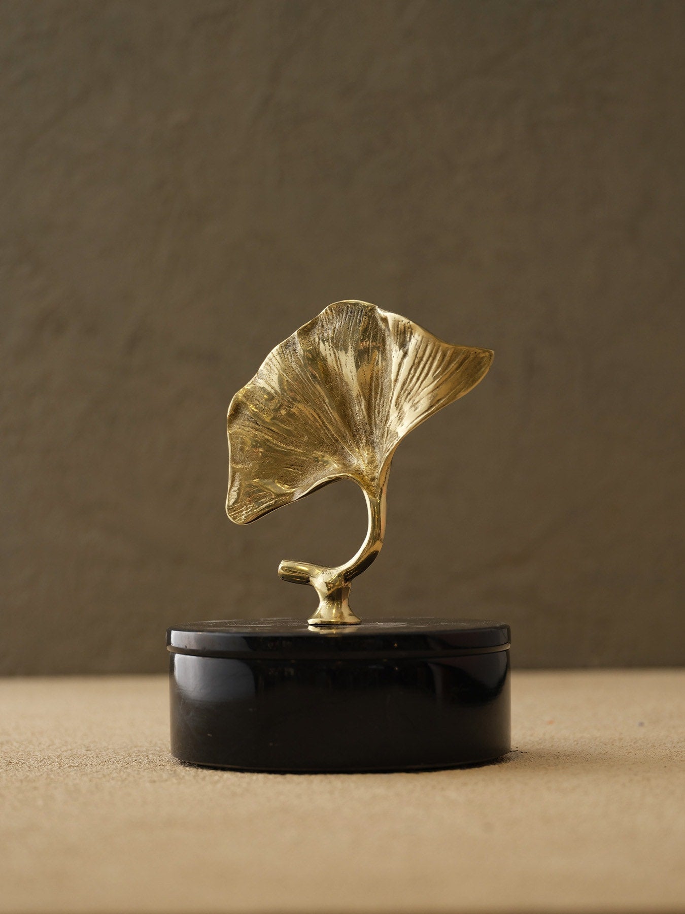 Pirinç XL Gynco Kutu