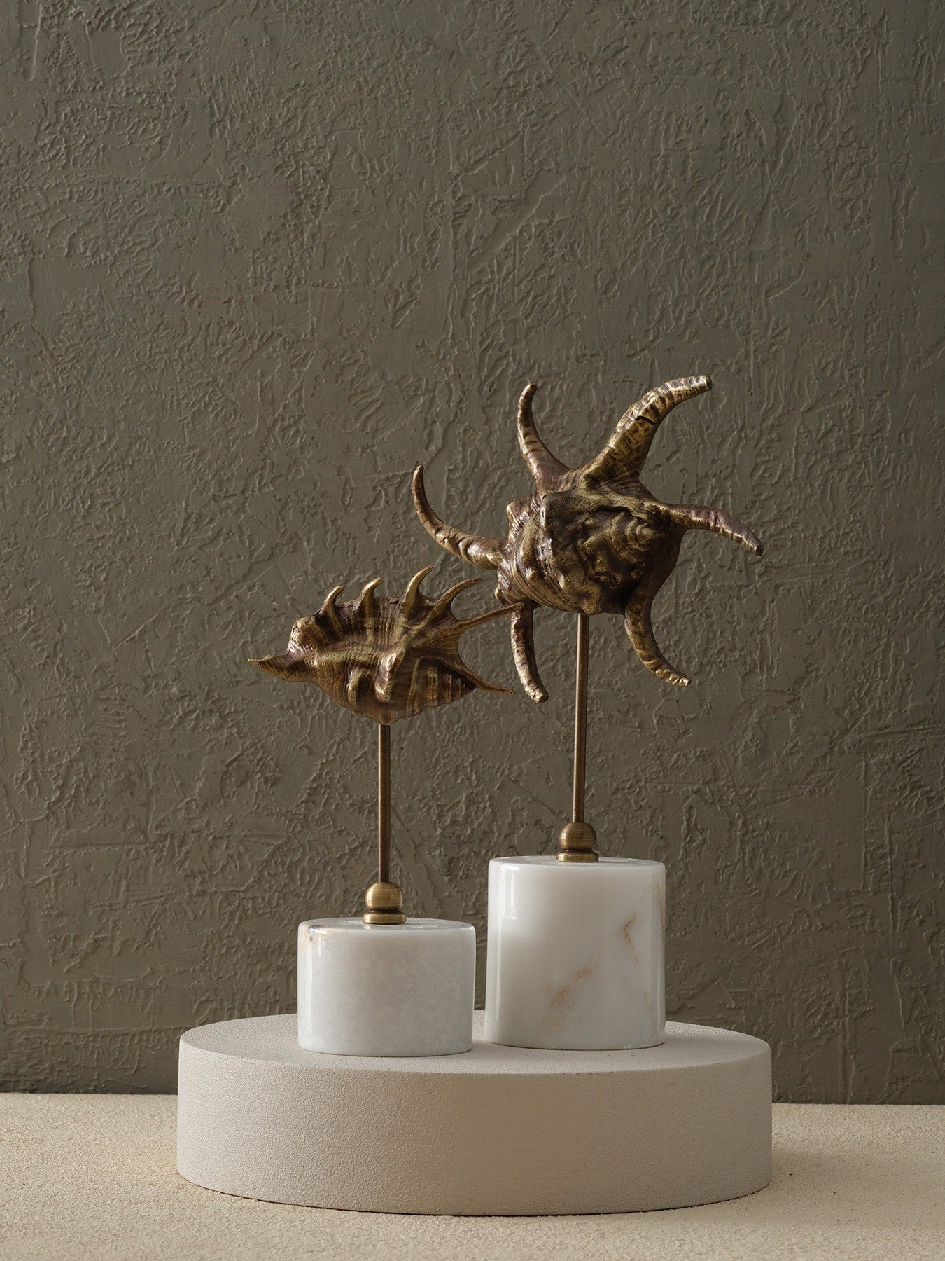 Pirinç Salyangoz - Orta Boy