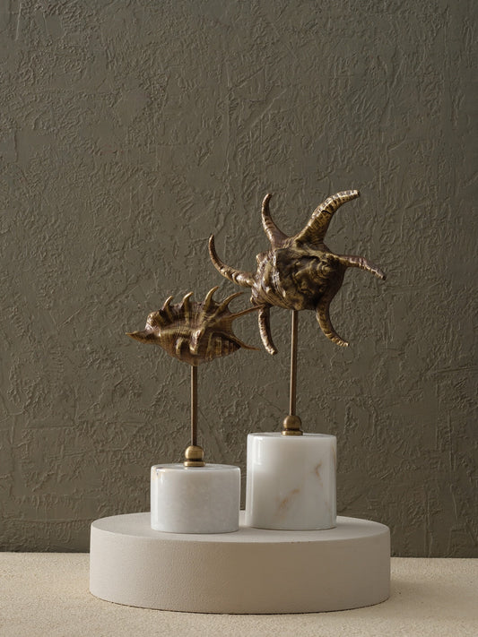 Pirinç Salyangoz - Orta Boy